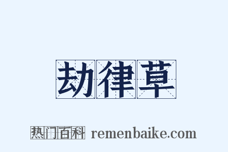 劫律草是什么意思的图片